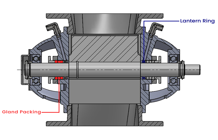 Right Image 1